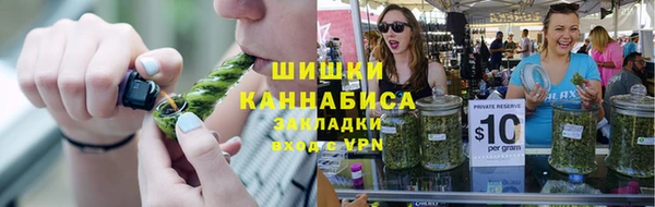 дживик Надым