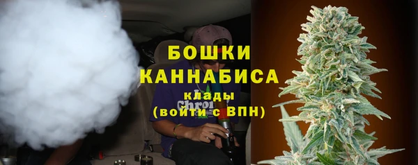 дживик Надым