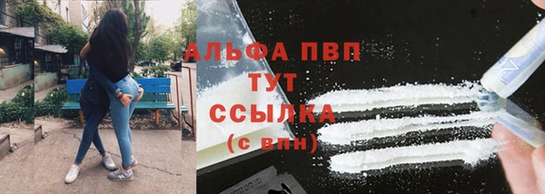 дживик Надым