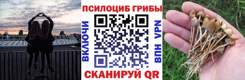 Галлюциногенные грибы Cubensis купить закладку Новоаннинский